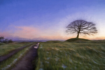 Lone tree at sunrise on Grindon Moor digital oil painting, Staffordshire, White Peak, Peak District National Park, UK.