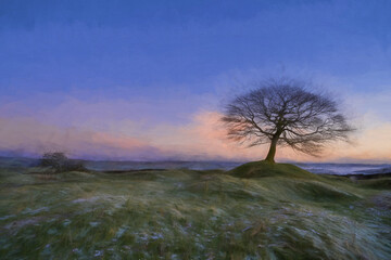 Lone tree at sunrise on Grindon Moor digital oil painting, Staffordshire, White Peak, Peak District National Park, UK.