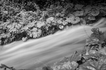 The majesty of the Marmore waterfall. Dream Umbria. Black and white