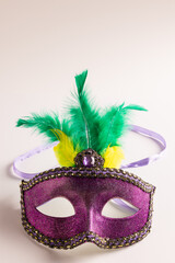 Composition of colourful mardi gras carnival mask with feathers on white background with copy space © vectorfusionart