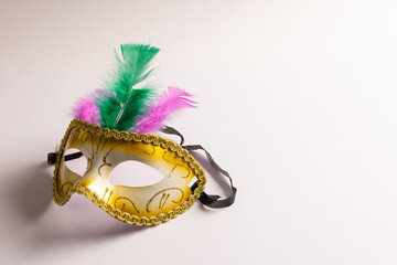 Composition of colourful mardi gras carnival mask with feathers on white background with copy space