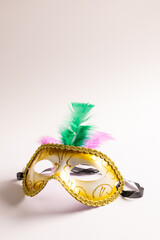 Composition of colourful mardi gras carnival mask with feathers on white background with copy space