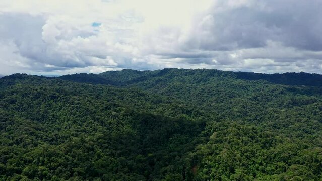 Aerial view of a tropical forest canopy with a cloudy sky, nature background of rainforest with a beautiful cloudscape