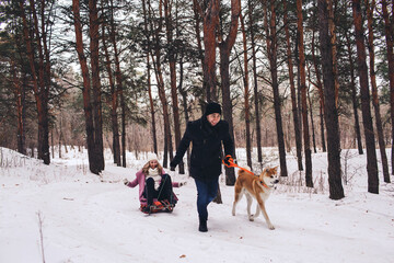 Fototapeta na wymiar Walking the dog in winter. The guy rides the girl on a sleigh in the forest