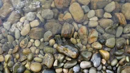 rounded texture stones in transparent water as a natural background, stone space of a sea or river bank in a small amount of water, tide-turned cobblestones as a banner full frame