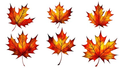 Naklejka na ściany i meble Collection of autumn leaves on white background