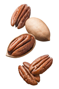 Flying pecan nuts isolated on white background. Vertical layout