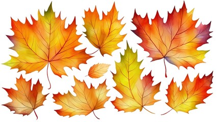 Naklejka na ściany i meble Set of beautiful colorful autumn leaves isolated on white.