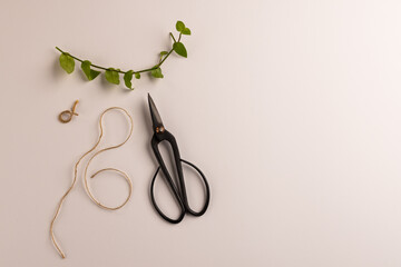 Composition of gardening scissors, plant cutting and string on white background with copy space