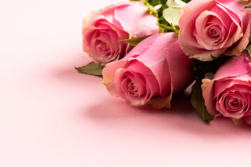 Fototapeta premium Composition of roses on white background