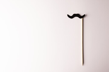 Composition of fake moustache on stick on white background with copy space