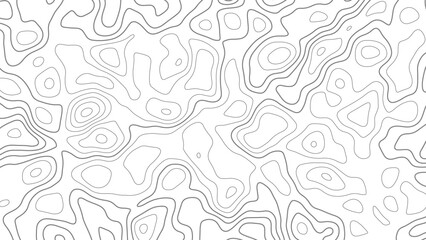 White wave paper curved reliefs abstract background, Abstract topographic contours map background.
Abstract lines background. Contour maps. Vector illustration.