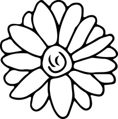 Line art of flowers and plants, floral bouquet