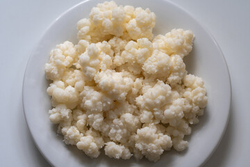 Organic milk kefir grains isolated on a plate