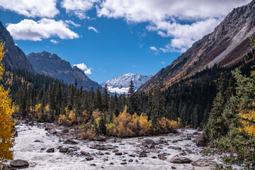 landscape in winter