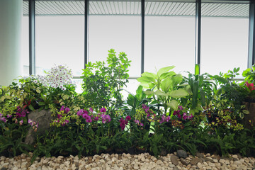 Garden with green plants and stones in the building
