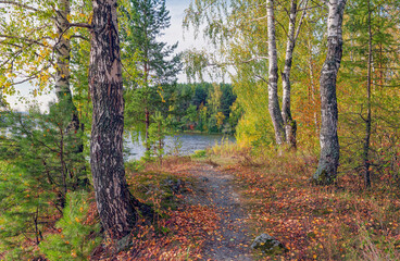 Autumn landscape sunset on the river bank. Wonderful nature, beautiful natural background.
