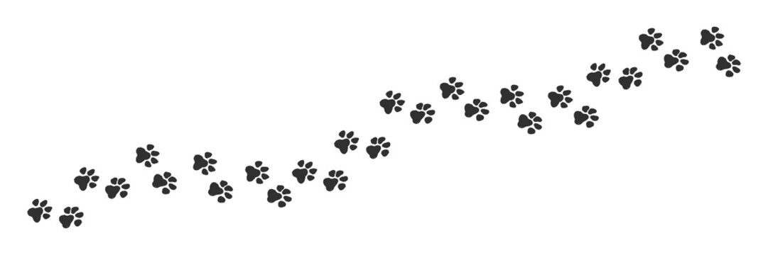 Dog tracks, trail of animal tracks. Vector illustration on white background