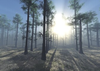 Forest in winter at sunrise, winter park in the sun, 3d rendering