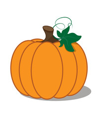 pumpkin on a white background