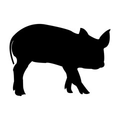 pig icon vector