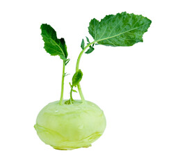Fresh green kohlrabi isolated transparent background with PNG.