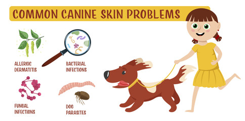 Dog skin problems. Horizontal illustration. Graphic design