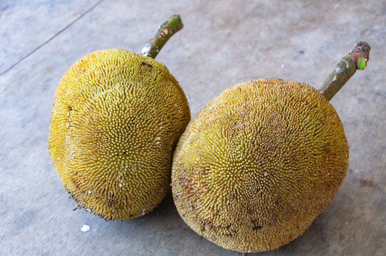Close up of Tarap fruit of Borneo Malaysia. Asian fruit concept.