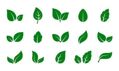 Leaf vector set green color isolated on white background. Leaf logo.