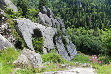 Big stone cliff in the mountains. Large boulders in the forest. Summer mountain landscape.