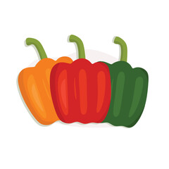 Paprika illustration with red, yellow, and green paprika for cooking
