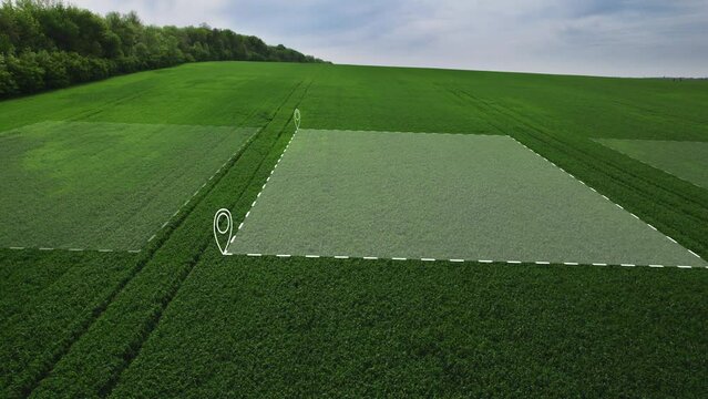 Land surveying in a field. Division of land for future sale and development.