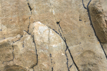 Rock texture for background