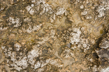 Rock texture for background