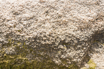 Rock texture for background