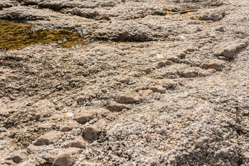 Rock texture for background