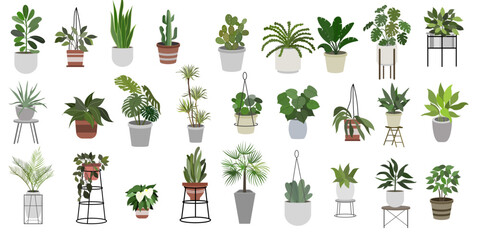 Flat vector Illustration of a foliage plant - obrazy, fototapety, plakaty