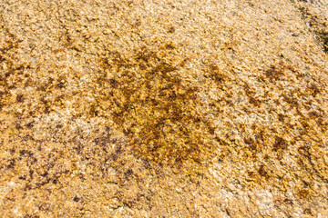 Rock texture for background