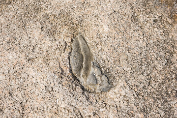 Rock texture for background