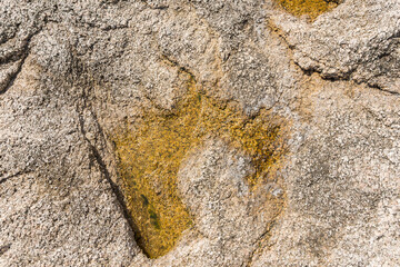 Rock texture for background