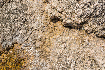 Rock texture for background