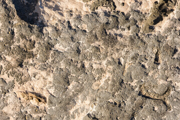 Rock texture for background