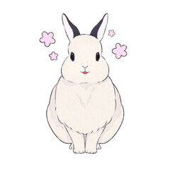 うさぎ　ドワーフホト　表情（楽）