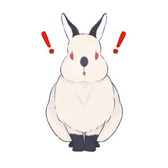 うさぎ　ヒマラヤン　表情（驚く）