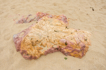 Rock texture for background