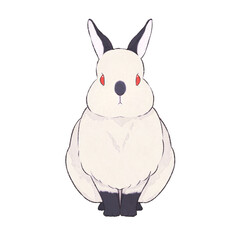 うさぎ　ヒマラヤン　表情（無）