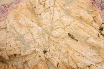 Rock texture for background