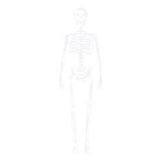 skeleton drawing with white chalk doodle