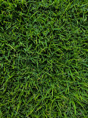 texture detail for wallpaper 