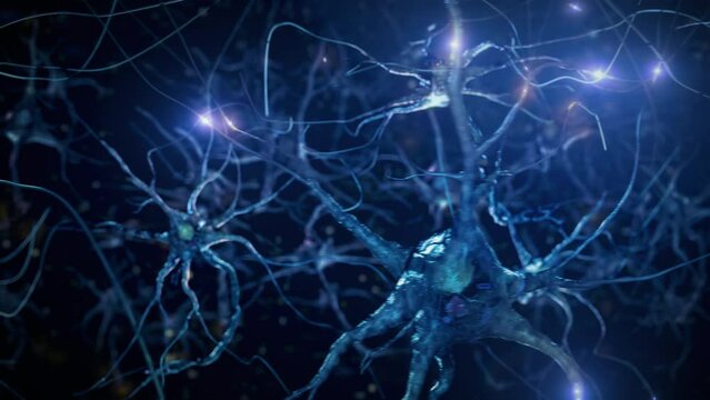 3D Animation of Neurons firing electrical impulses. Nerve Cell Activity in the Brain, Neurogenesis, Neurotransmitters, Synapse. Nervous System.
